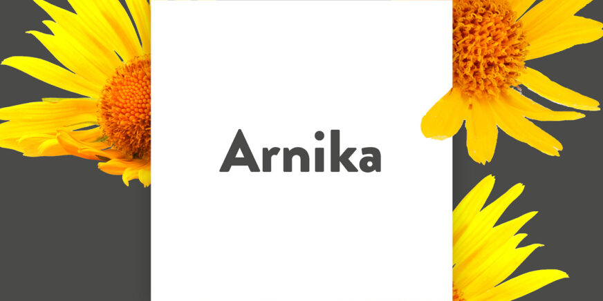 Pflanze-des-Monats-Arnika
