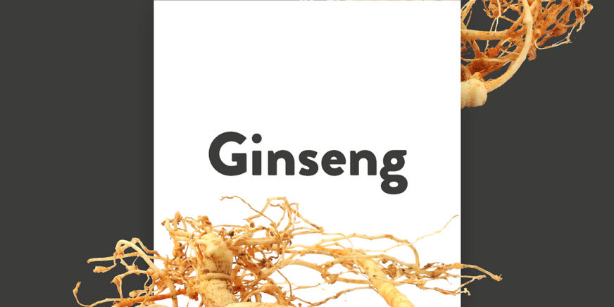 Pflanze-des-Monats-Ginseng