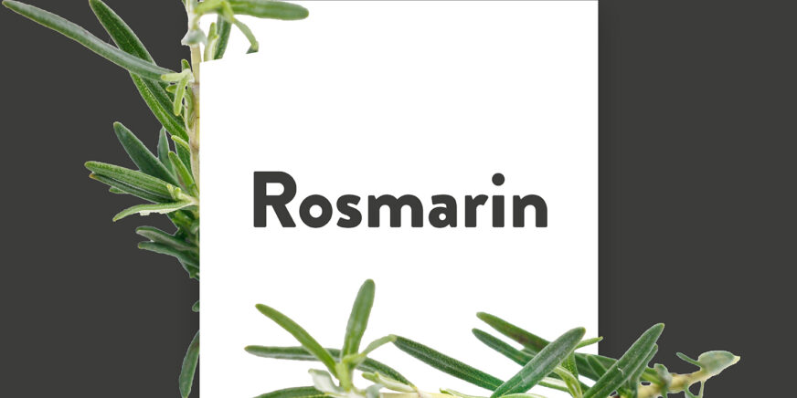 Pflanze-des-Monats-Rosmarin