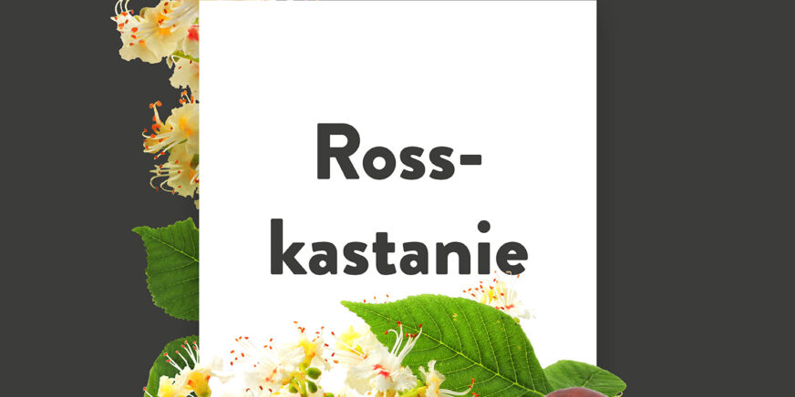 Pflanze-des-Monats-Rosskastanien