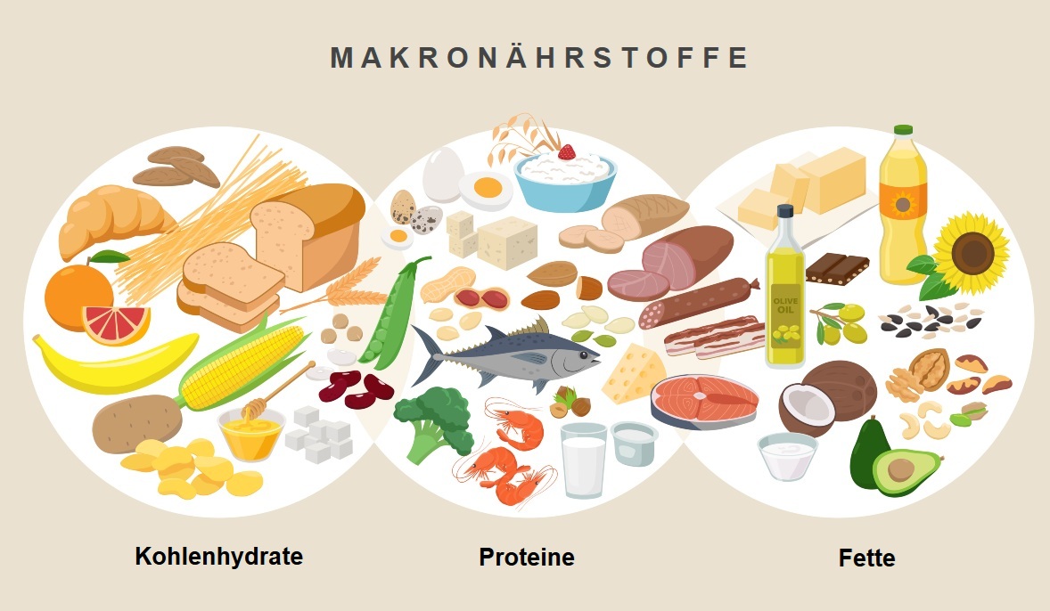 Die 3 Hauptgruppen der Makronährstoffe: Kohlenhydrate, Proteine und Fette Die 3 Hauptgruppen der Makronährstoffe: Kohlenhydrate, Proteine und Fette