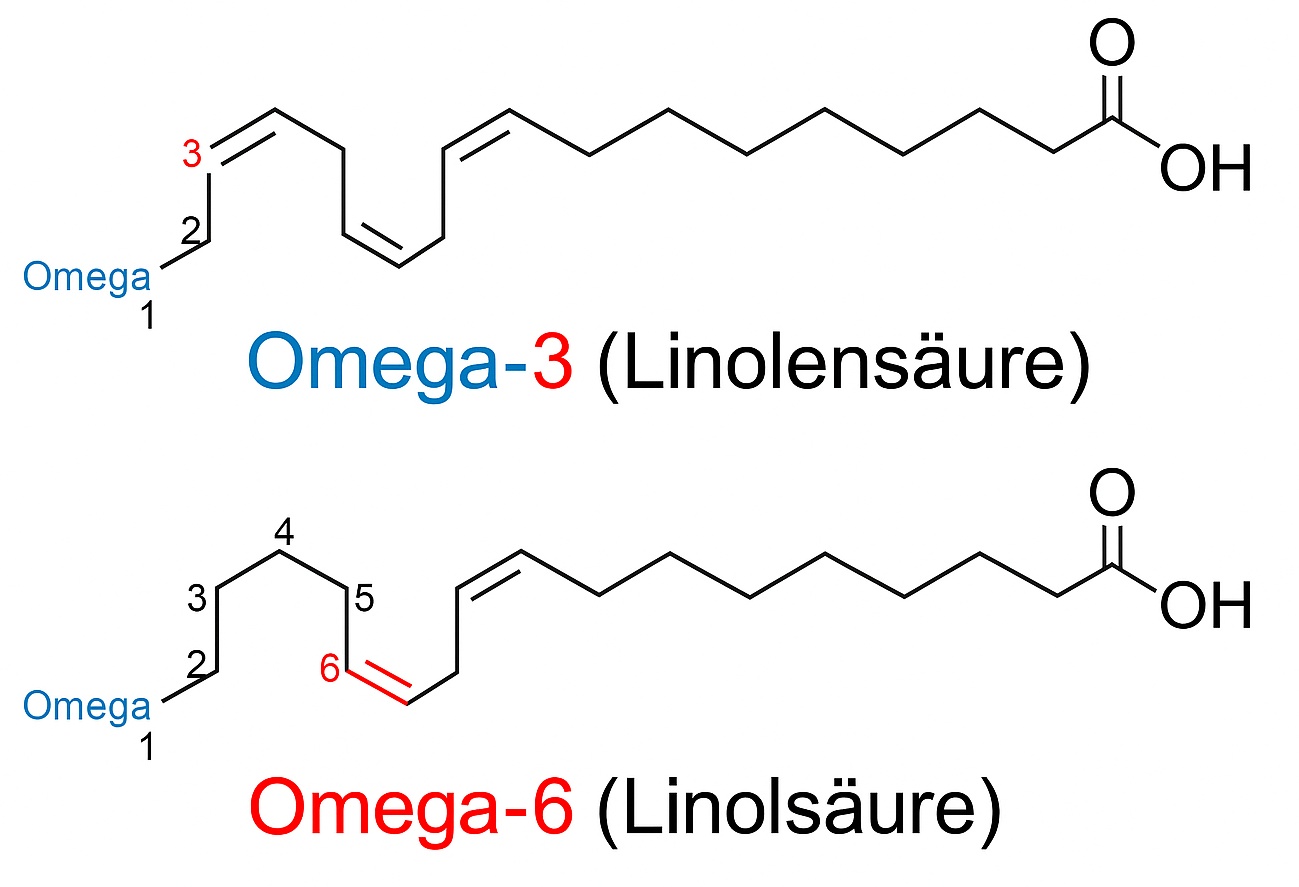 Omega 3 und 6 chemische Darstellung