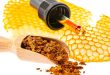 Propolis - BIenenkittharz