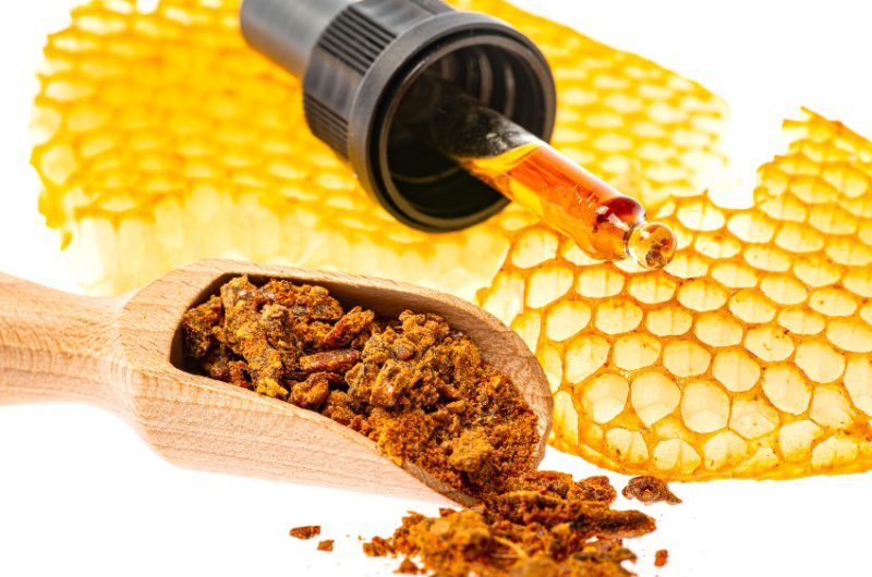 Propolis - BIenenkittharz