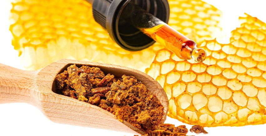 Propolis - BIenenkittharz
