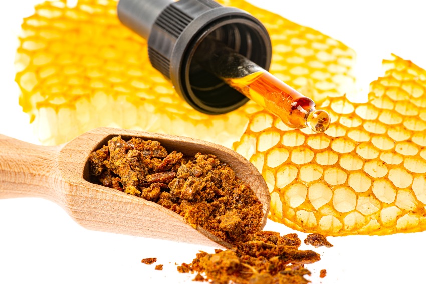 Propolis - BIenenkittharz