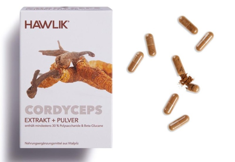 Hawlik-Cordyceps-1 (1)