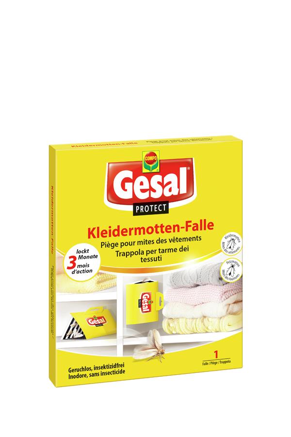 Kleidermotten Falle