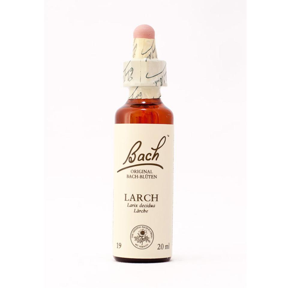 Bachblüten-Essenzen Original