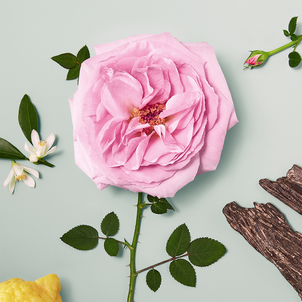 Chloé Eau de Parfum Naturelle