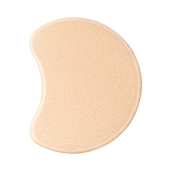Foundation Sponge