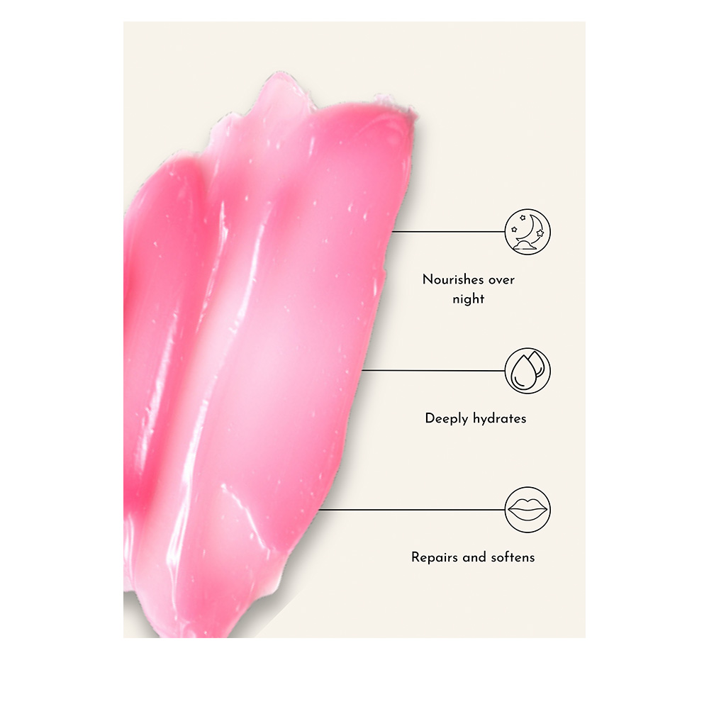 Lip Recovery Duo Set