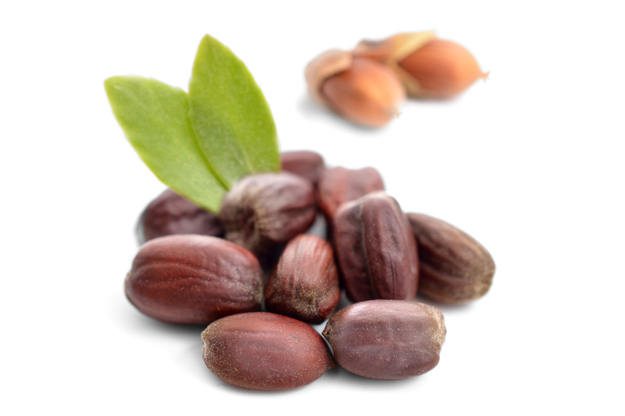 Jojoba Öl