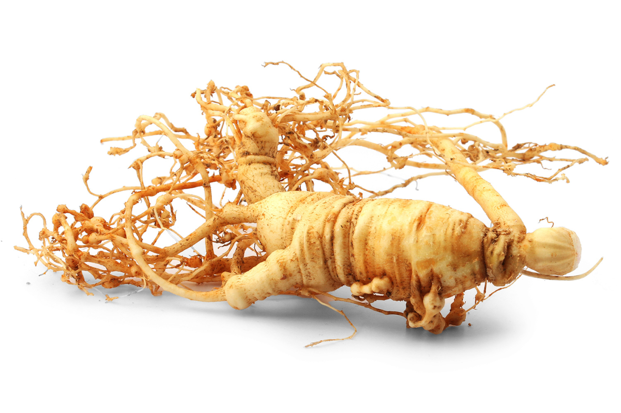 Ginseng