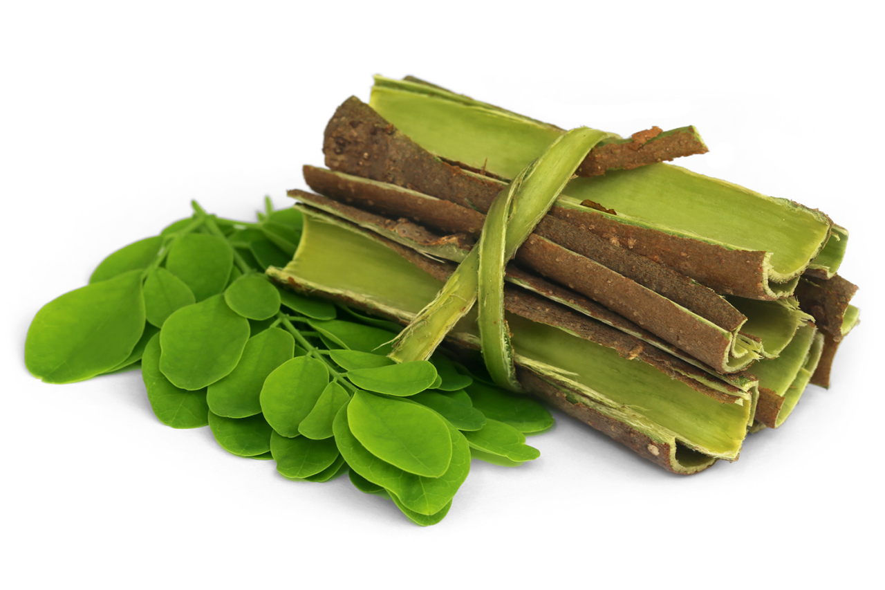 Moringa