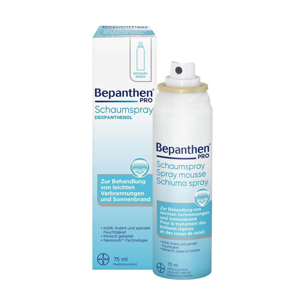 Pro Schaumspray