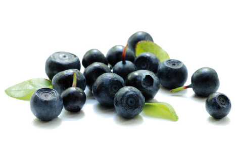 Schwarzbeeren