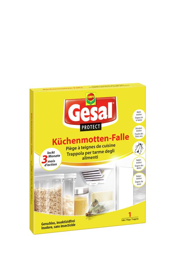 Küchenmotten Falle