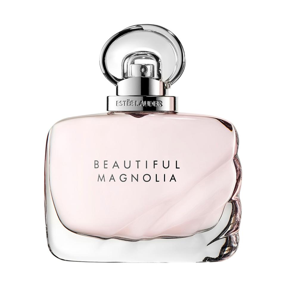 Beautiful Magnolia