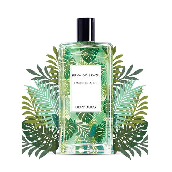 Selva Brazil EDP