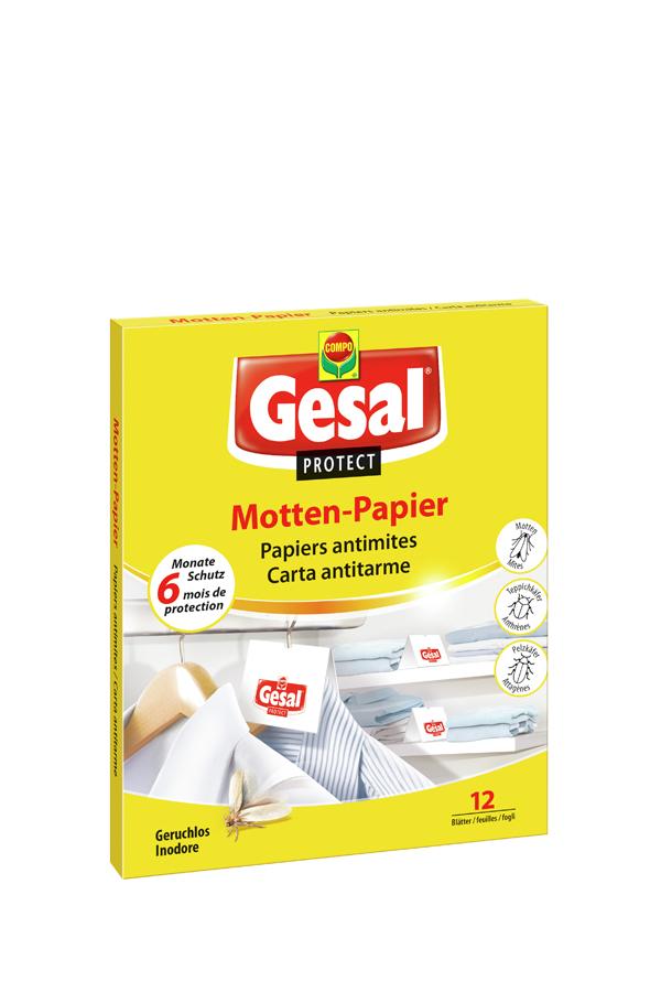 Motten Papier