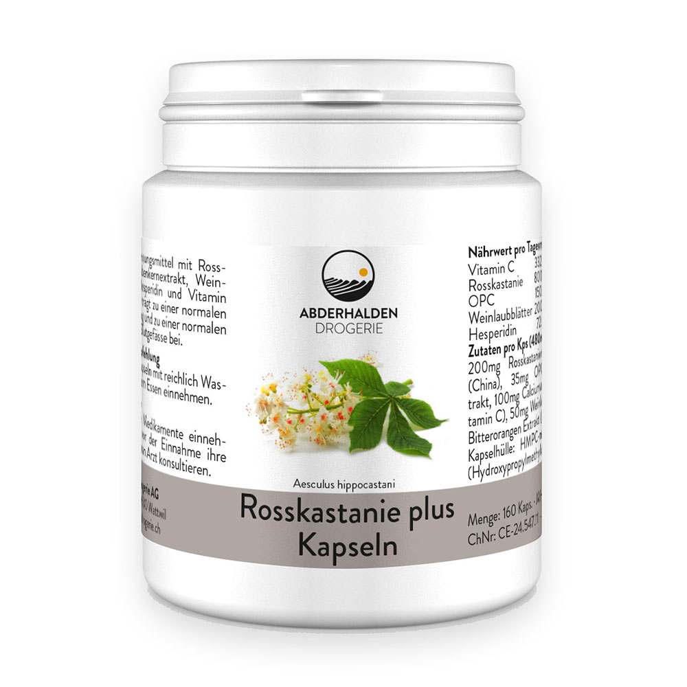 Rosskastanien plus Kapseln