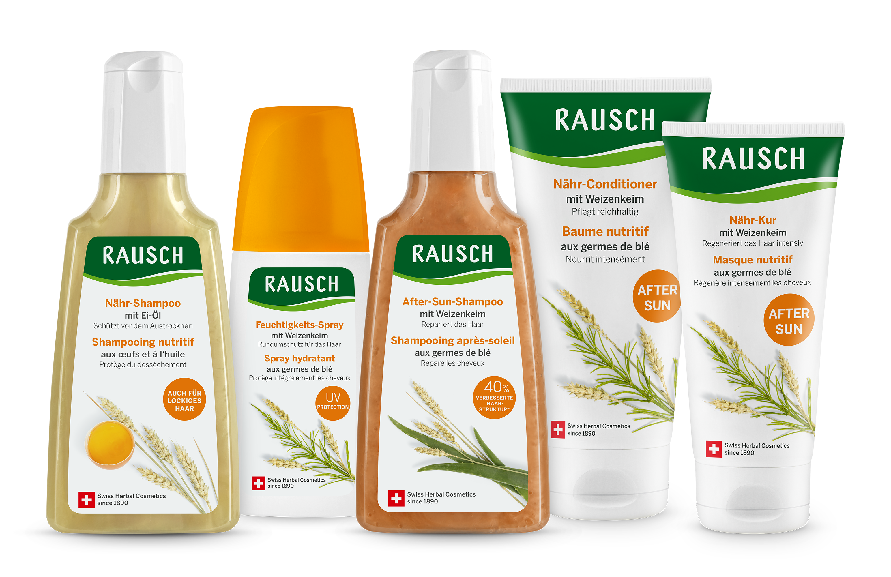 Nähr Shampoo mit Ei-Öl
