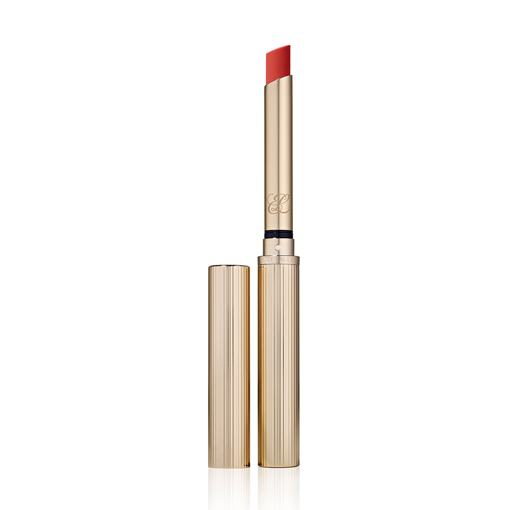 Pure Color Explicit Ultra Matte Lipstick
