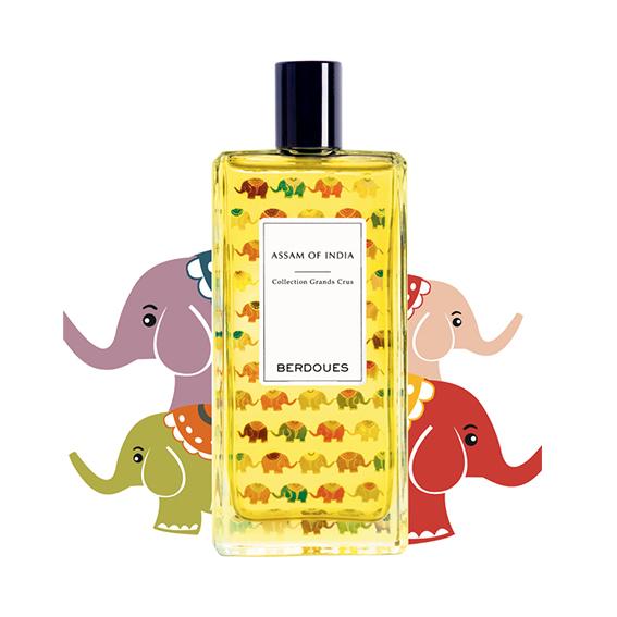 Assam India EDP