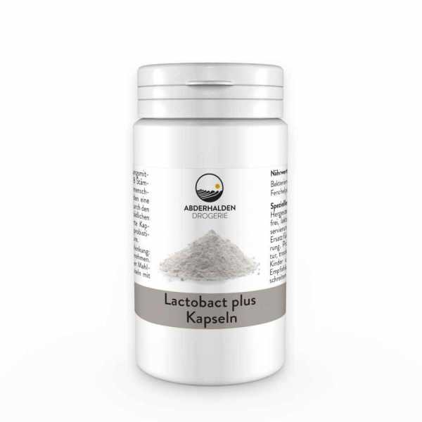 Lactobact Plus Kapseln