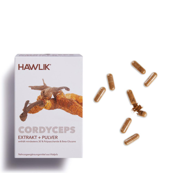 Cordyceps Extrakt + Pulver Kapseln