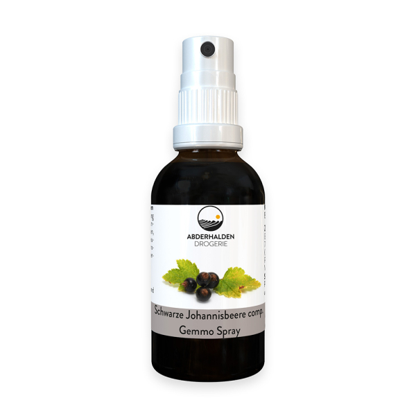 Gemmo Schwarze Johannisbeere comp. Spray