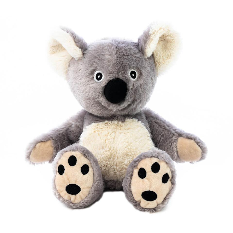Wärmetier Koala